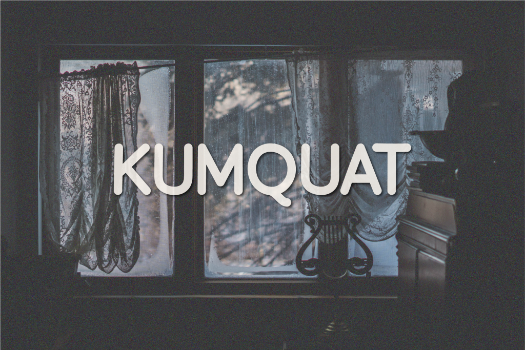 Kumquat illustration 2