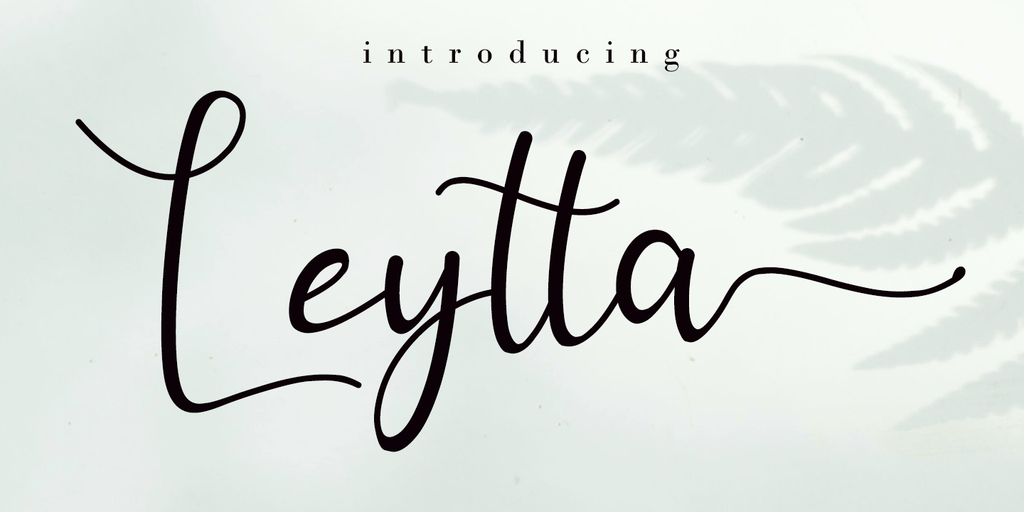Leytta illustration 1