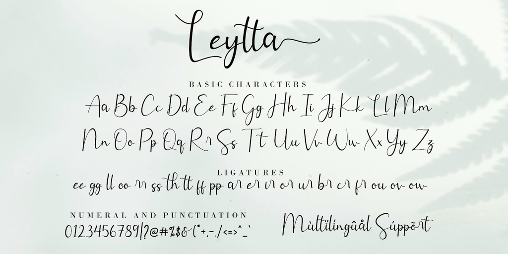 Leytta illustration 8