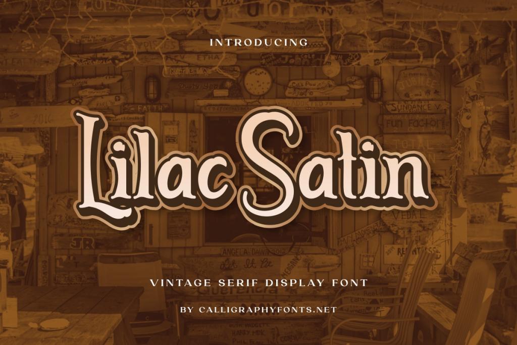 Lilac Satin Demo illustration 2