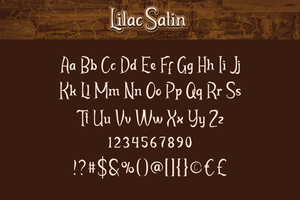 Lilac Satin Demo illustration 5