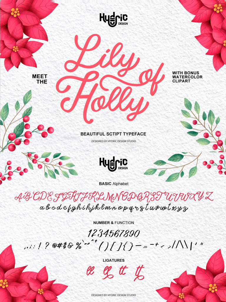 lily of holly DEMO illustration 1