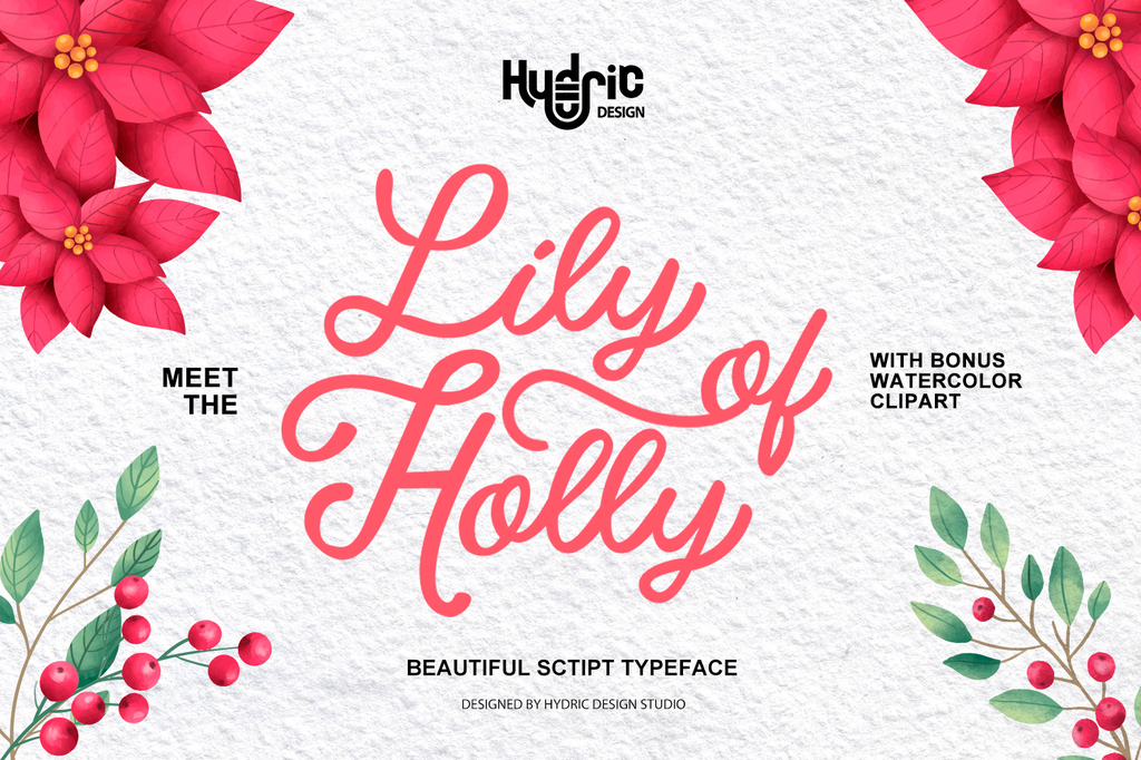 lily of holly DEMO illustration 5