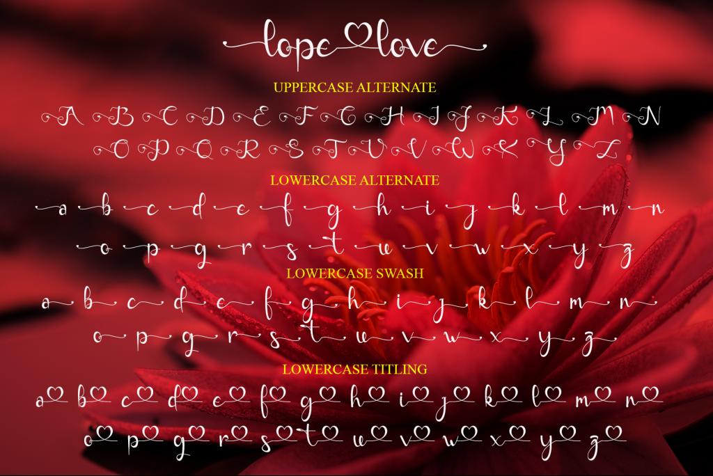lope love - Personal Use illustration 9