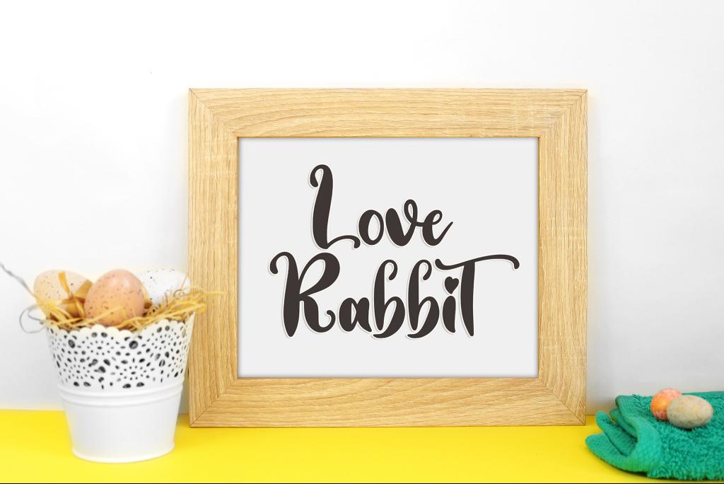 Love Rabbit - Personal Use illustration 5