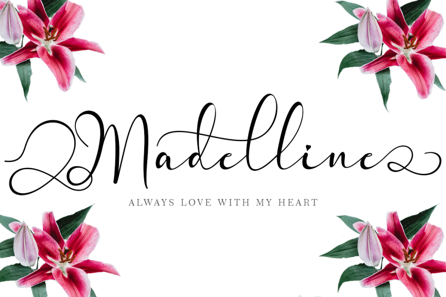 Madelline illustration 7