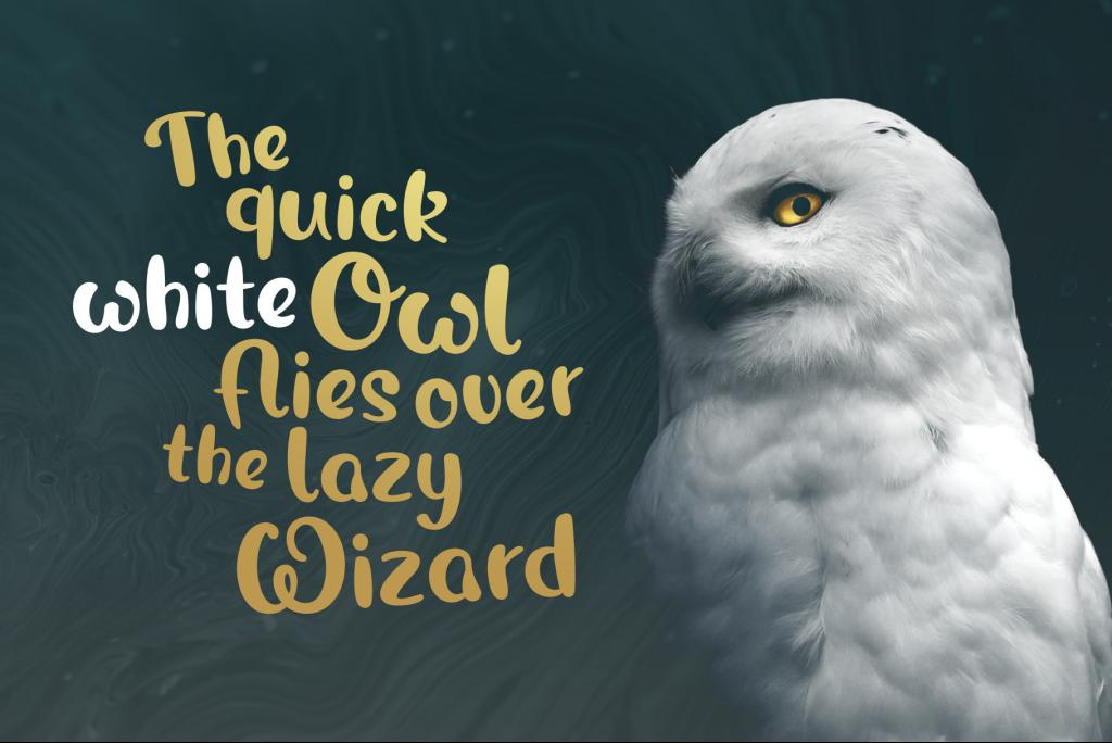 Magic Owl illustration 6