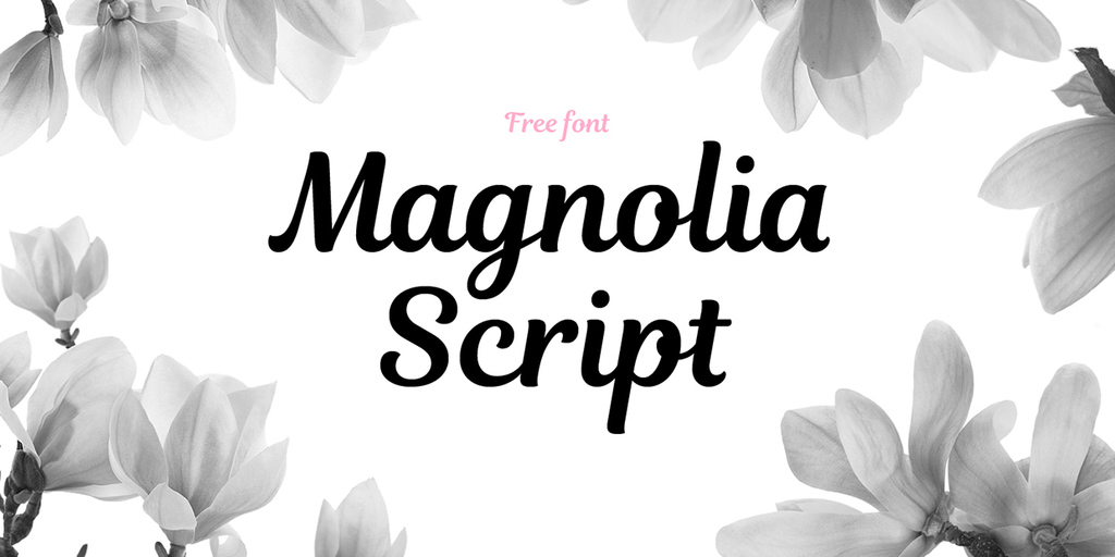 Magnolia Script illustration 8