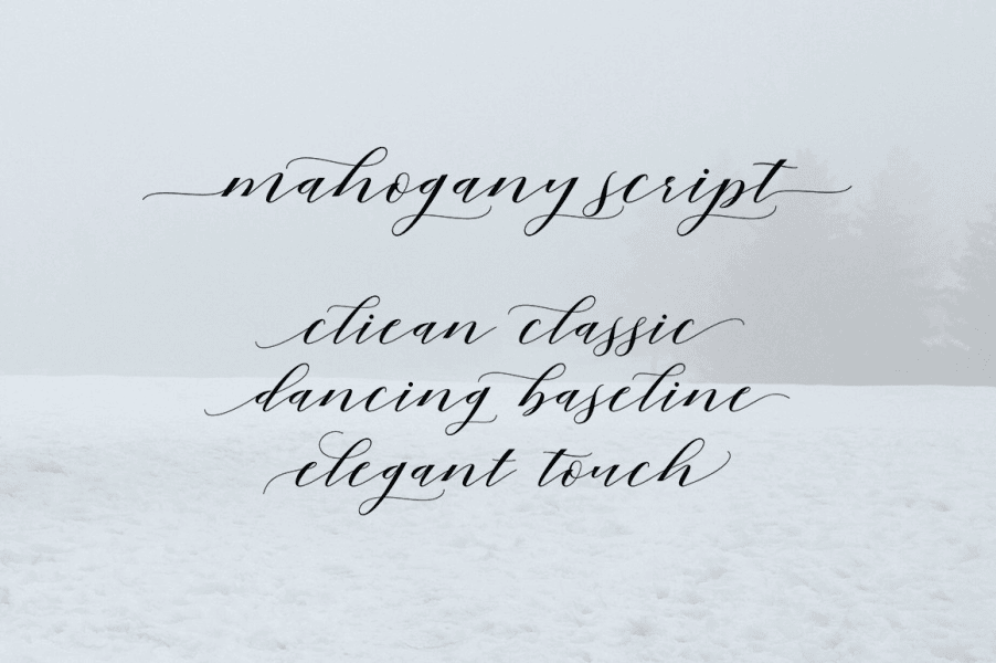 Mahogany Script illustration 12