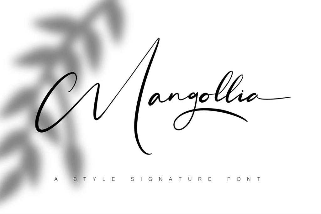 Mangollia illustration 2
