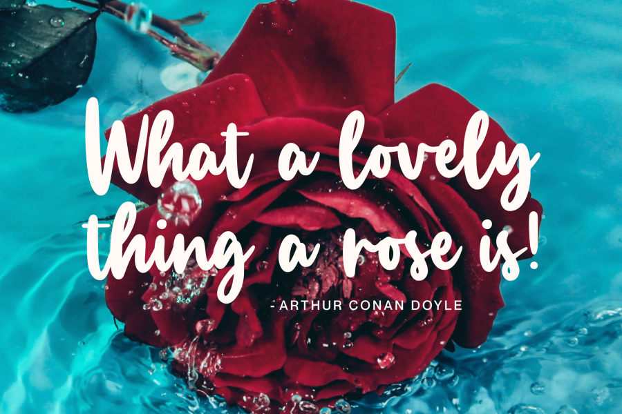 Manlyscript Font · 1001 Fonts