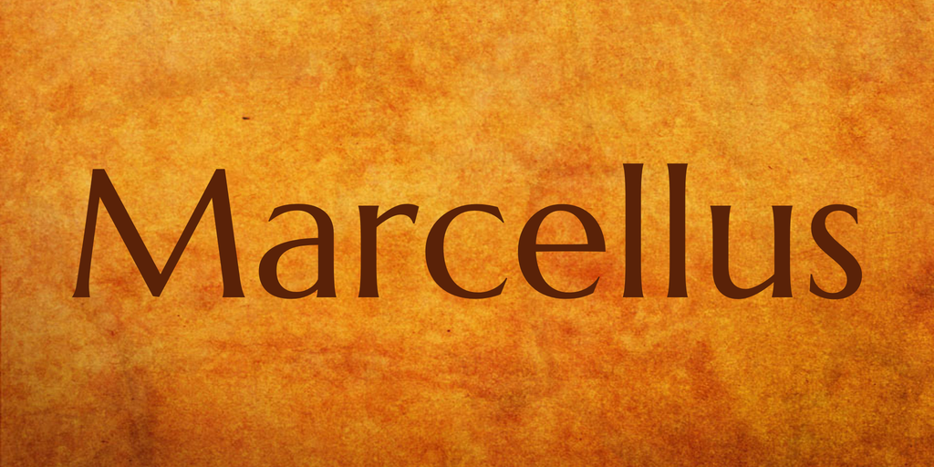Marcellus illustration 5