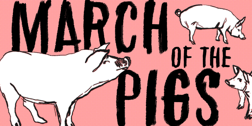 March of the pigs illustration 2
