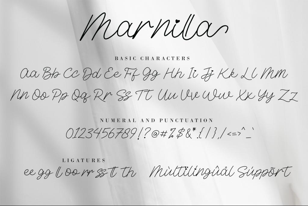 Marnilla Signature illustration 5