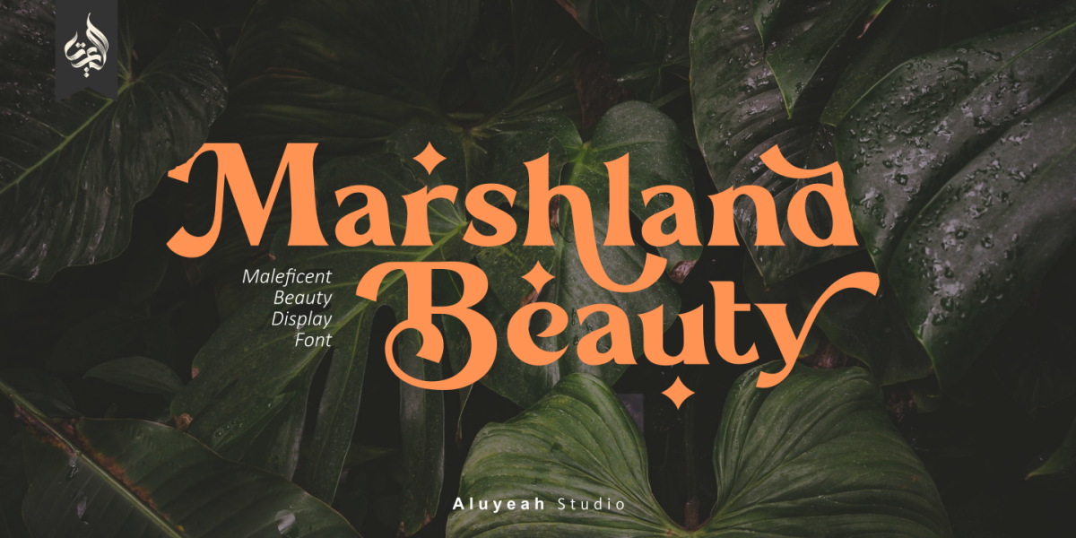 Marshland Beauty illustration 2