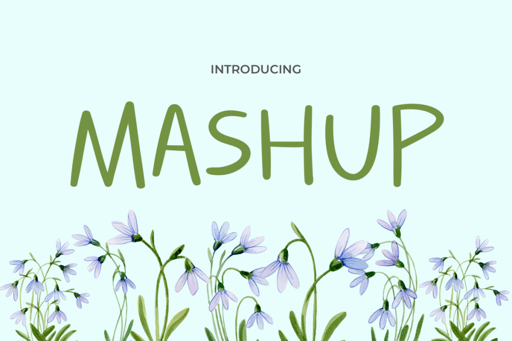 MASHUP illustration 2