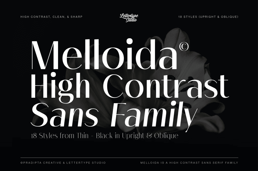 3 Free Adobe Illustrator, Brutalist, Script Fonts · 1001 Fonts