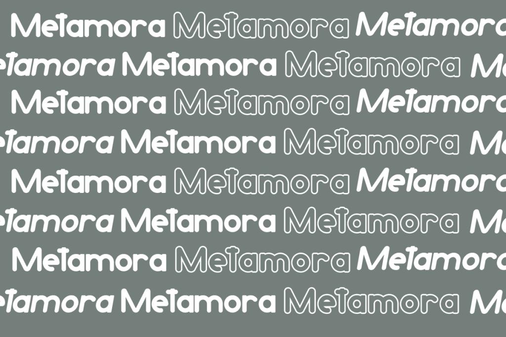 Metamora Demo illustration 4