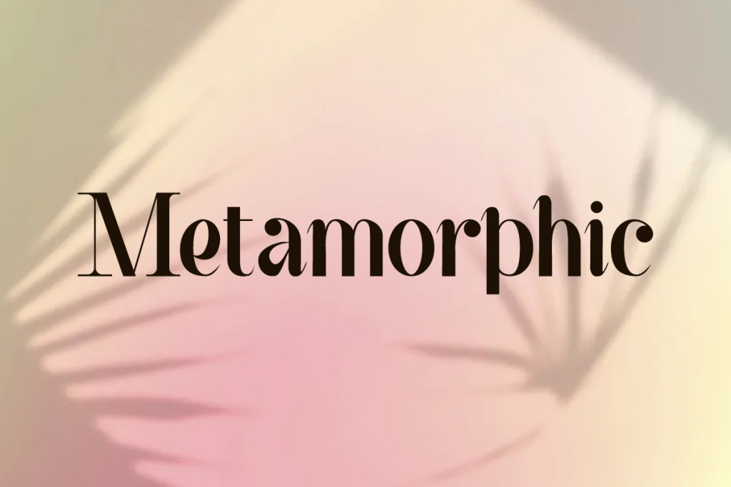Metamorphic Demo illustration 4