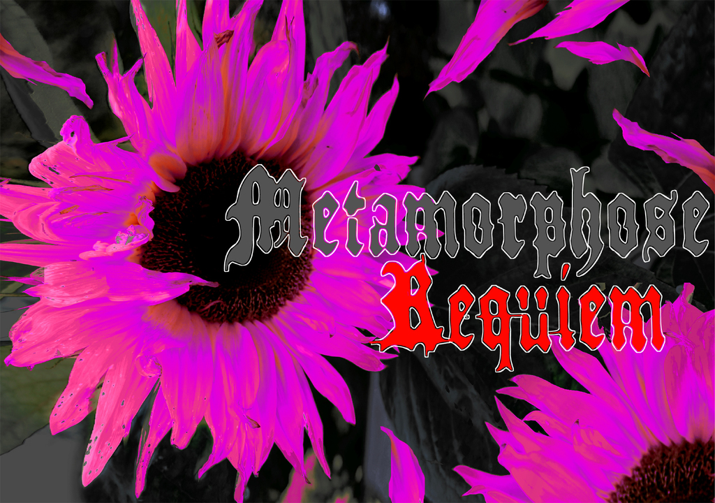 Metamorphose Requiem illustration 1