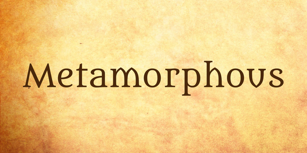 Metamorphous illustration 1