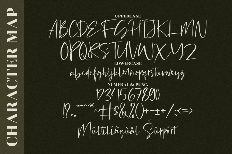 Michigan Custom Font Family · 1001 Fonts