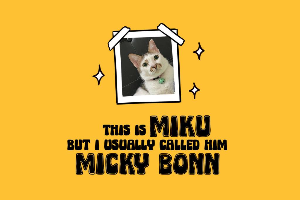 Micky Bonn Inline illustration 9