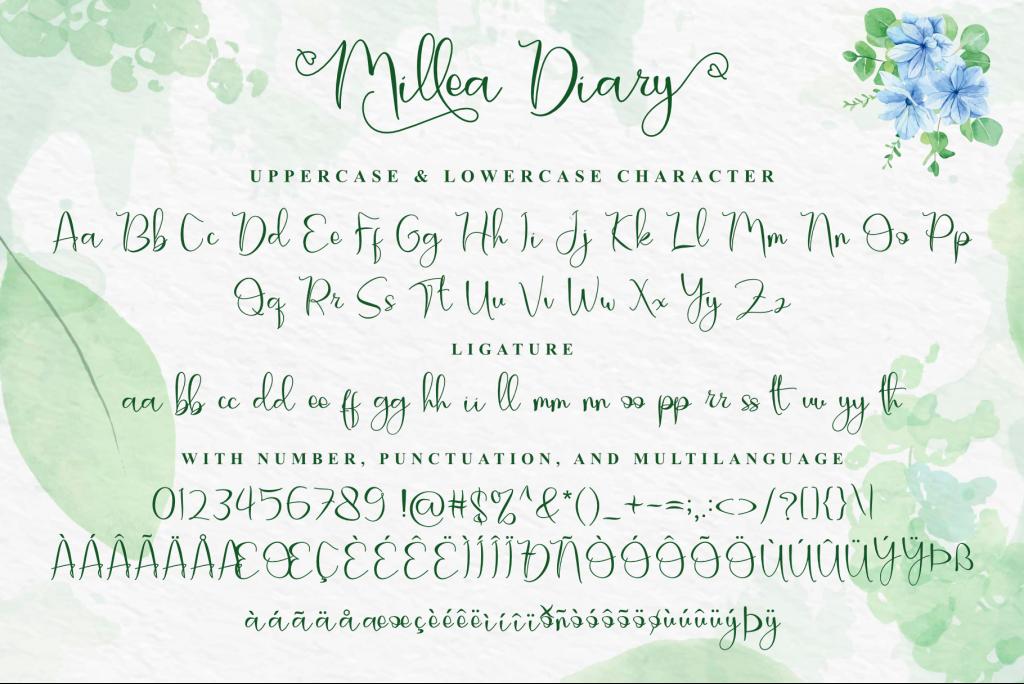 Millea Diary illustration 8