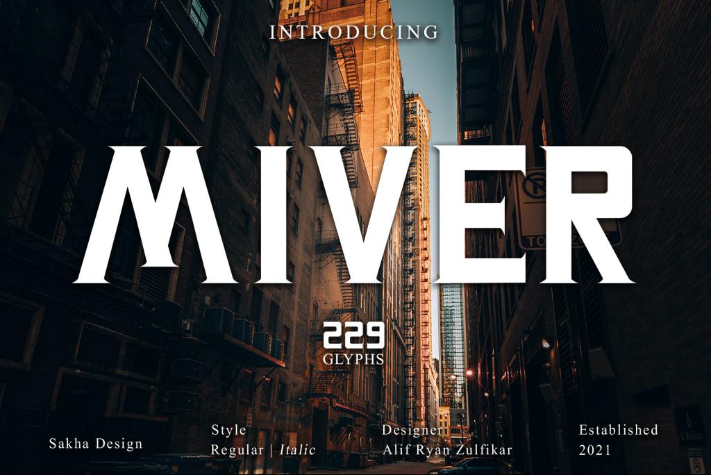 Miver - Personal Use illustration 2