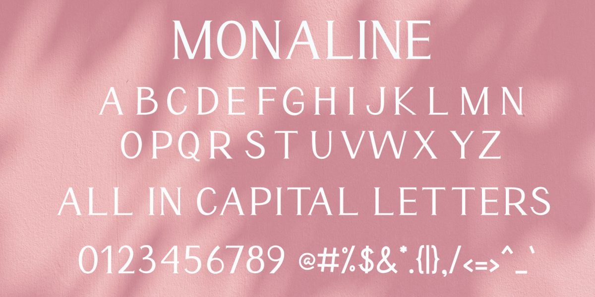 Monaline illustration 3