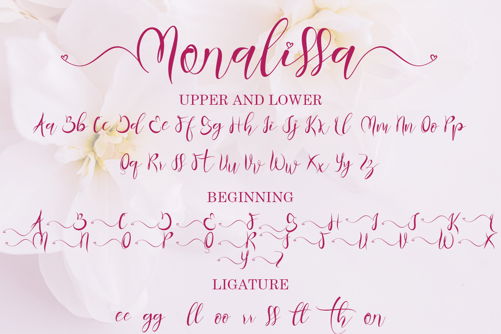 Monalissa illustration 3