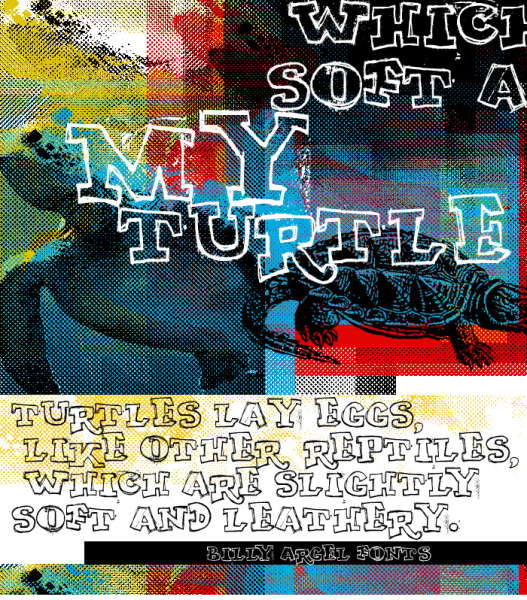 MY TURTLE Font · 1001 Fonts
