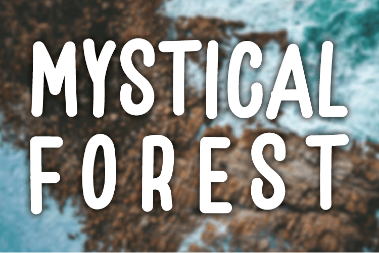 Mystical Forest illustration 2
