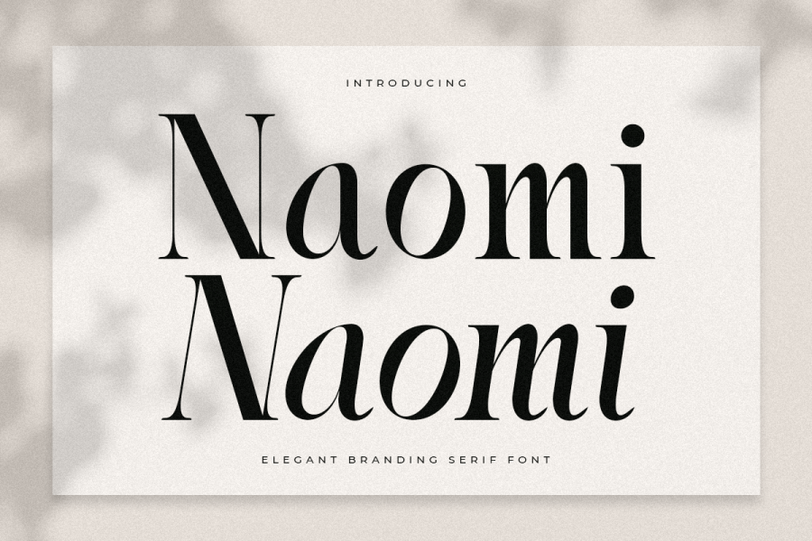 Naomi Font · 1001 Fonts