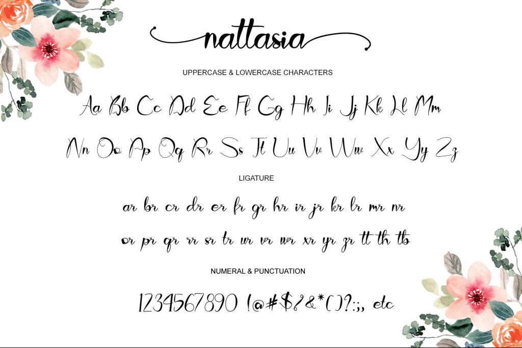 Nattasia - Personal Use illustration 8