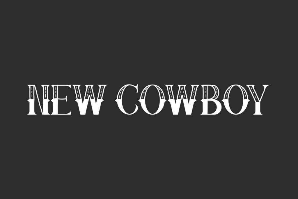 New Cowboy Demo illustration 2