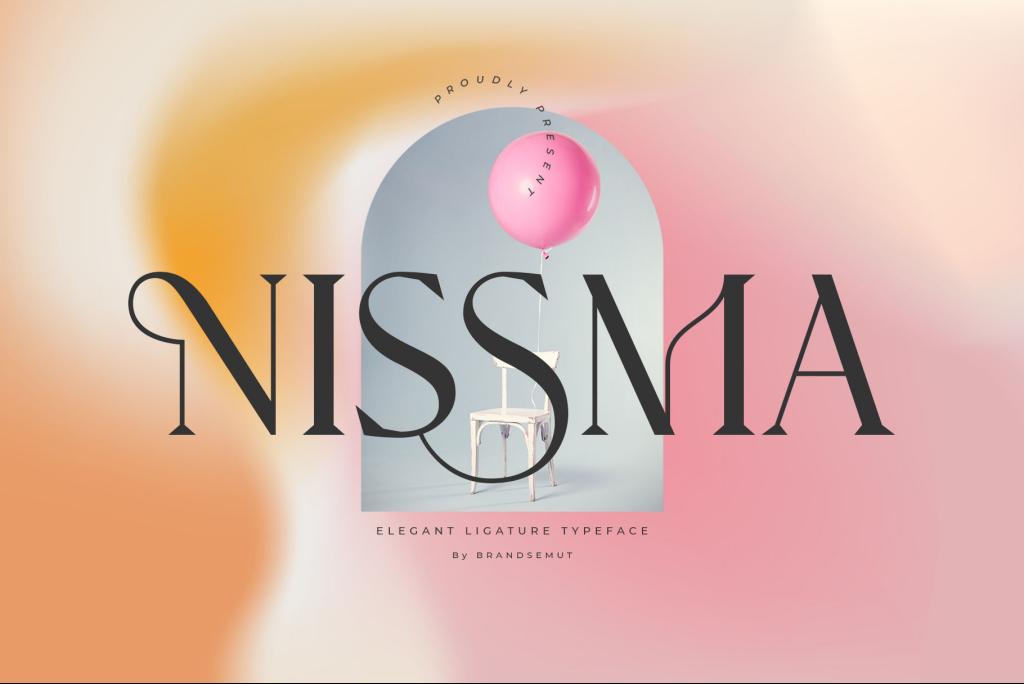 Nissma illustration 3