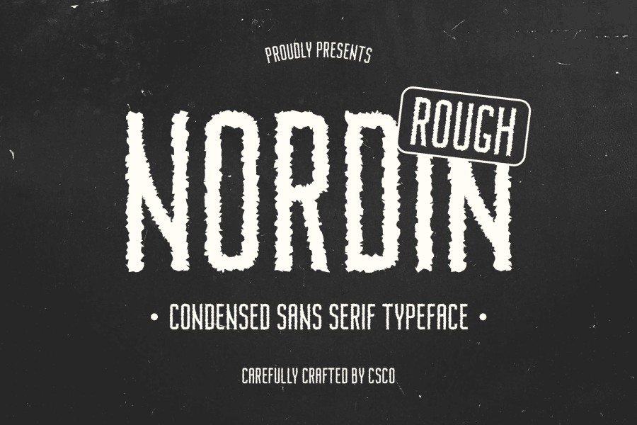 Nordin Rough Demo Font · 1001 Fonts