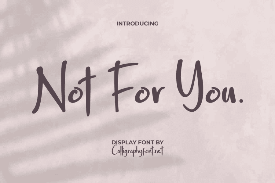Not For You Demo Font · 1001 Fonts