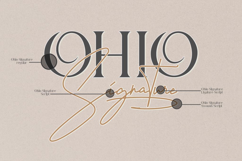 Ohio Signature Demo illustration 6