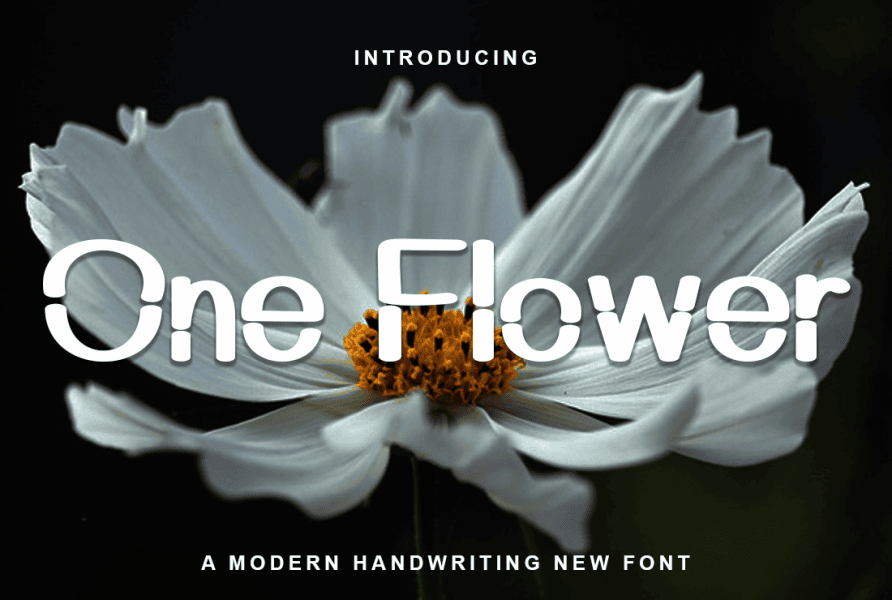 2 Free Display, Slashed, Strikethrough Fonts · 1001 Fonts