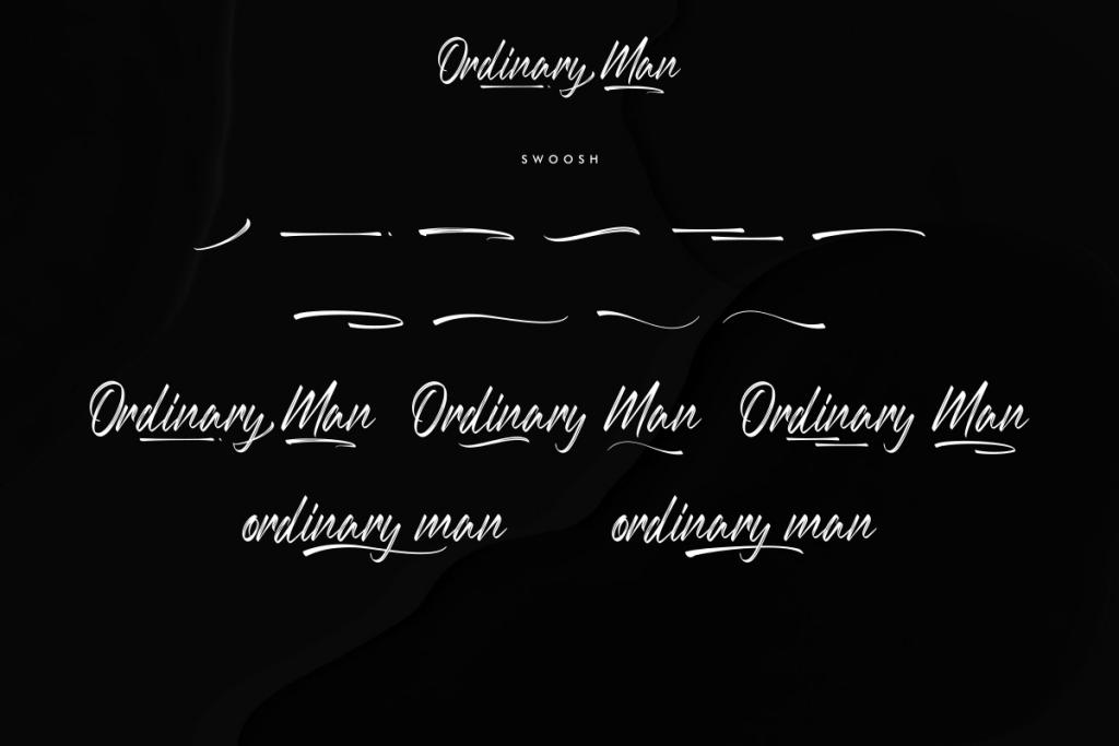 Ordinary Man Demo illustration 10