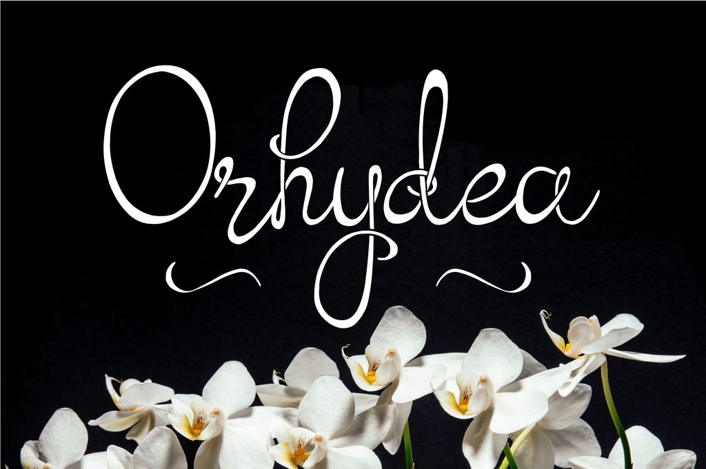 Orhydea illustration 5