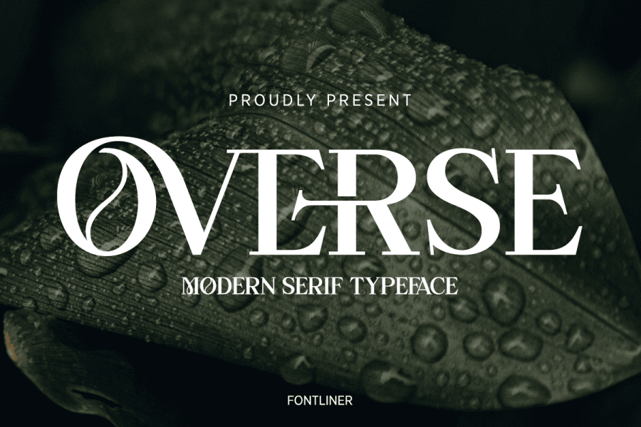 Large Fancy Script Letters Overse DEMO Font · 1001 Fonts