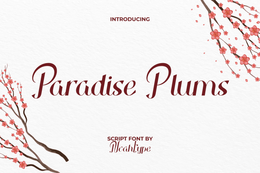 ParadisePlumsDemo illustration 2