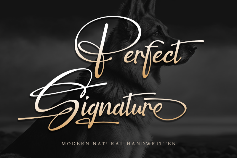 Perfect Signature - Personal us illustration 2