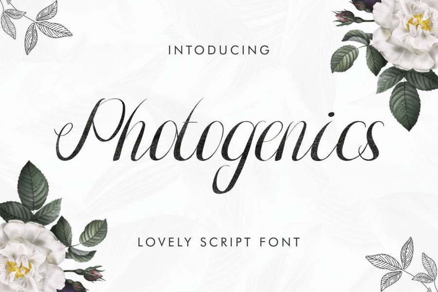 Photogenic Text Photogenics Demo Font · 1001 Fonts