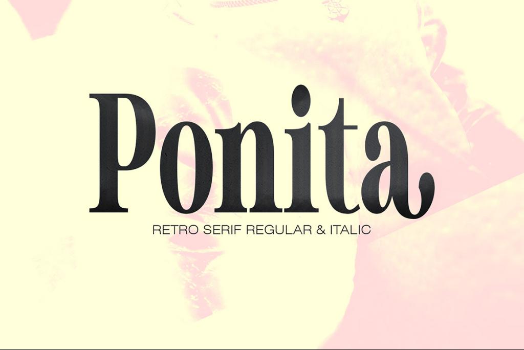 Ponita Serif illustration 1