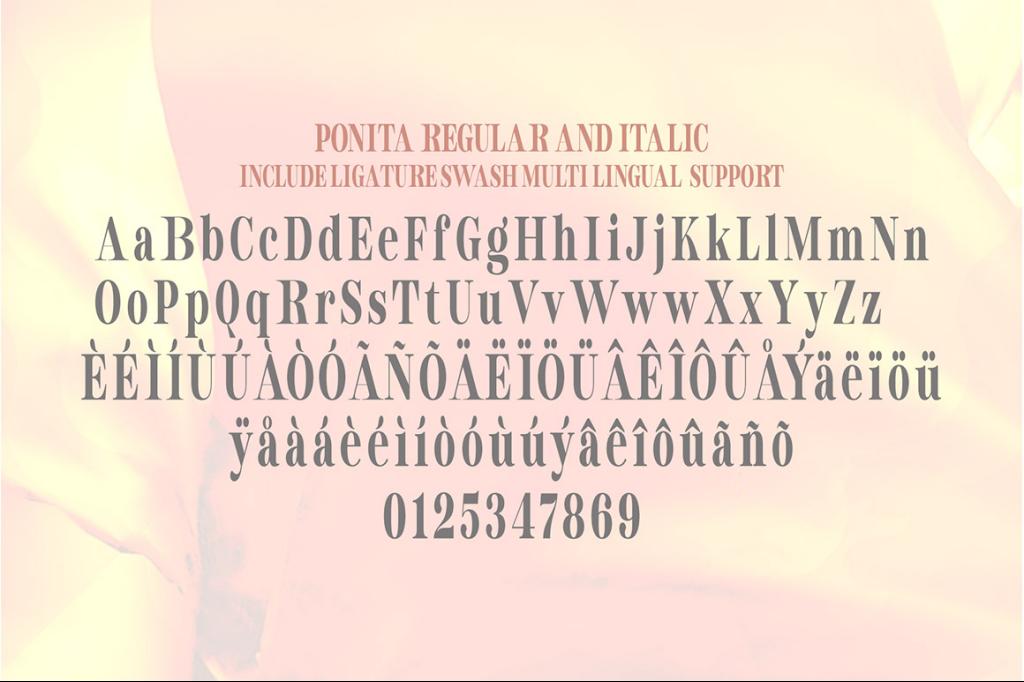 Ponita Serif illustration 5