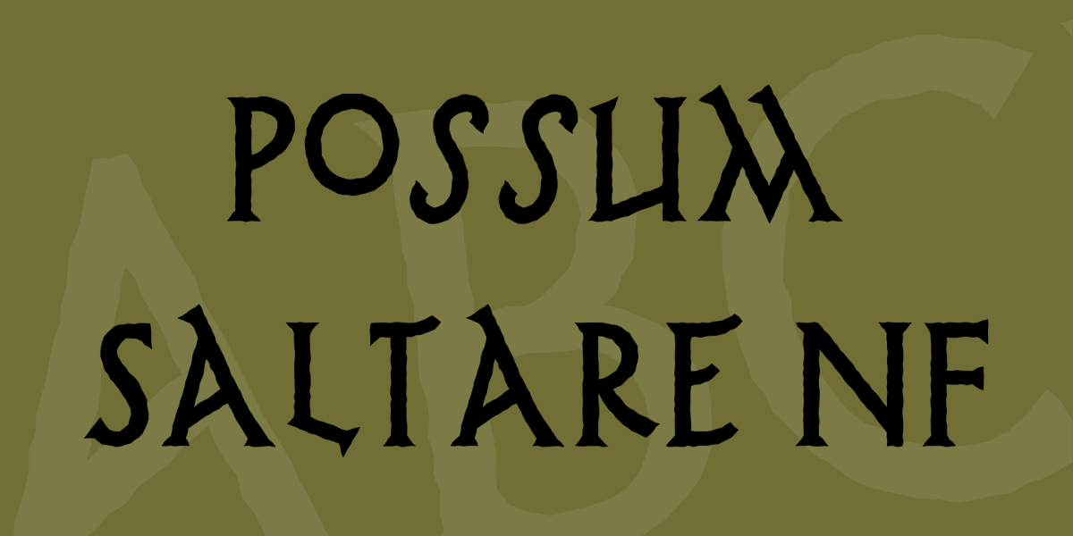 Possum Saltare NF Font · 1001 Fonts